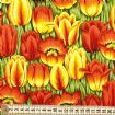 Vis produktside for: Røde og gule tulipaner.